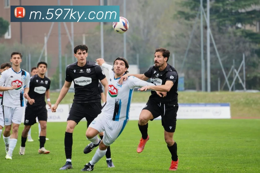 平台使命图